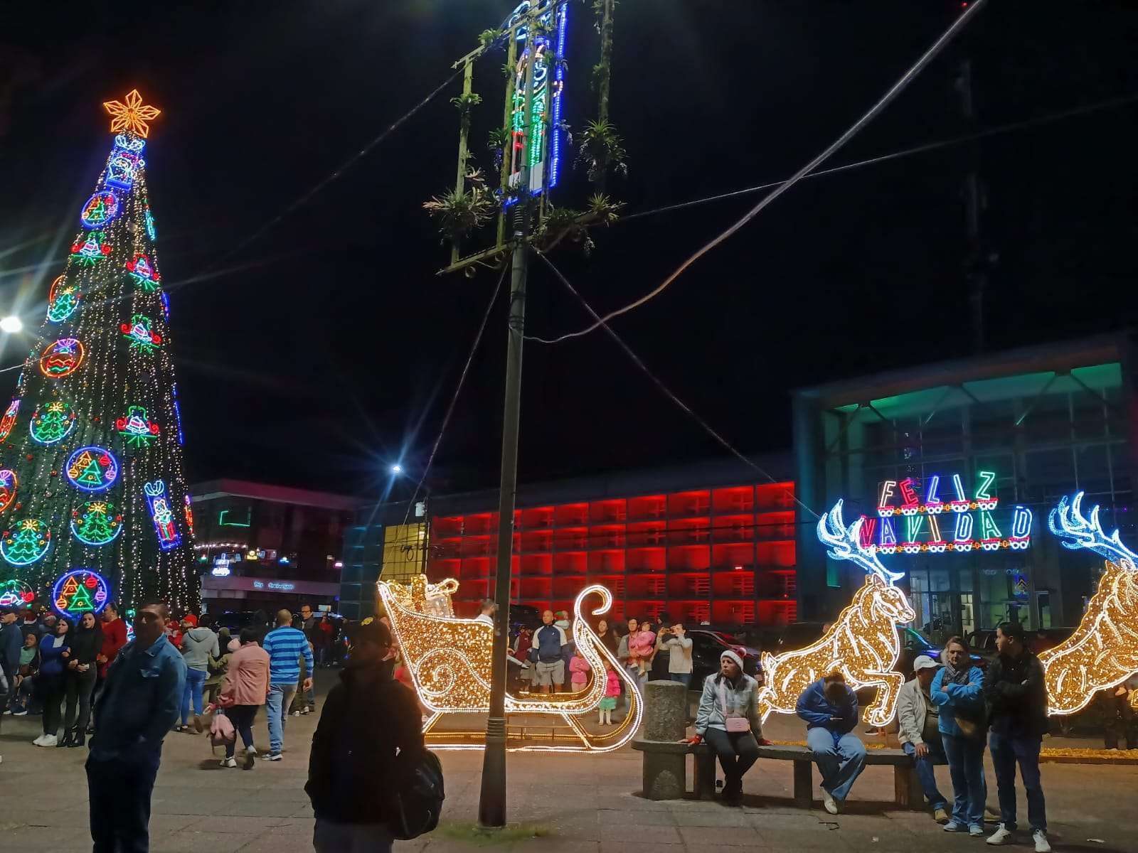 Conozca nuestra agenda de actividades navideñas